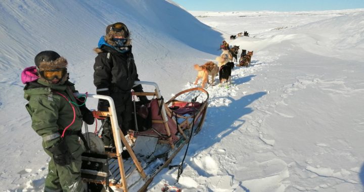 Take your children for dog sledding at Svalbard!